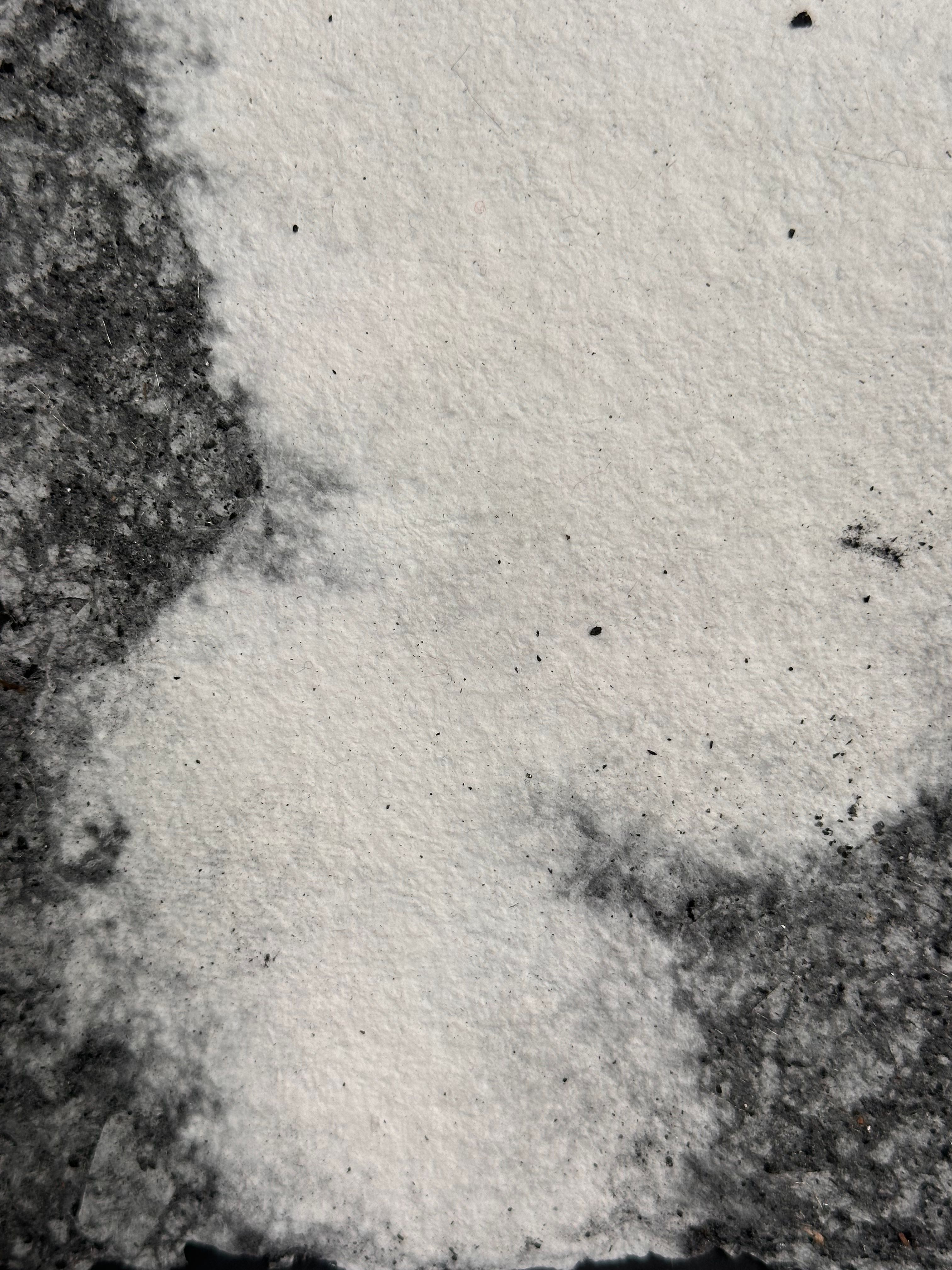 Charcoal 8, 2026. Handmade paper with charcoal. Banff, Canada.
