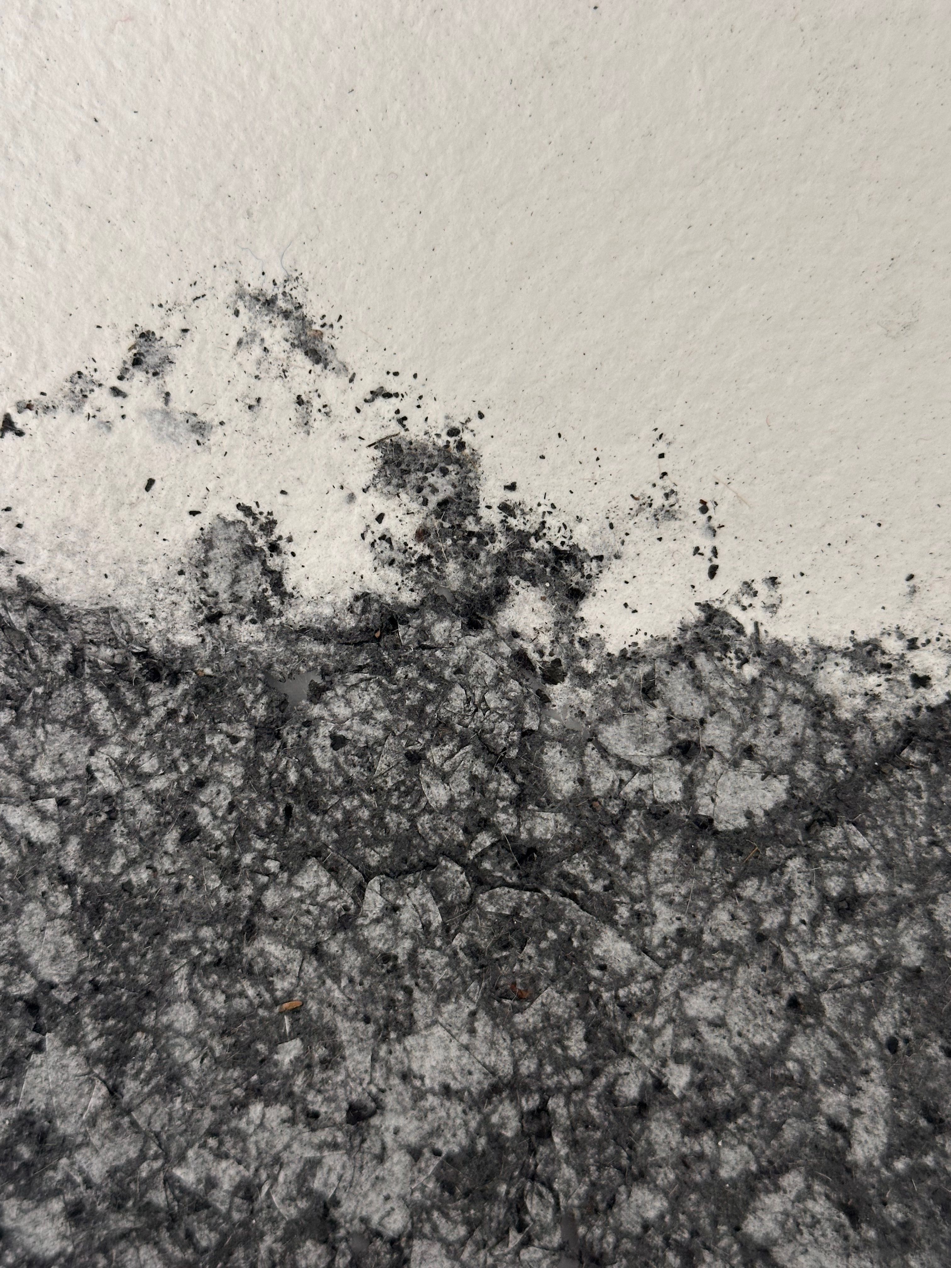 Charcoal 7, 2026. Handmade paper with charcoal. Banff, Canada.